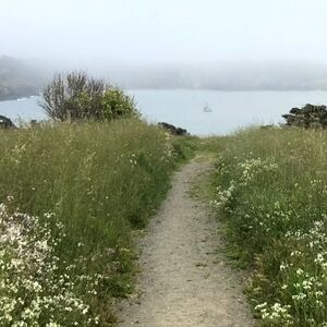 Meet your Posher, Desiree